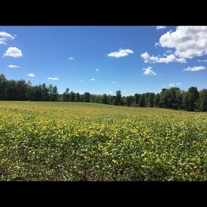 Meet your Posher, Adrienne